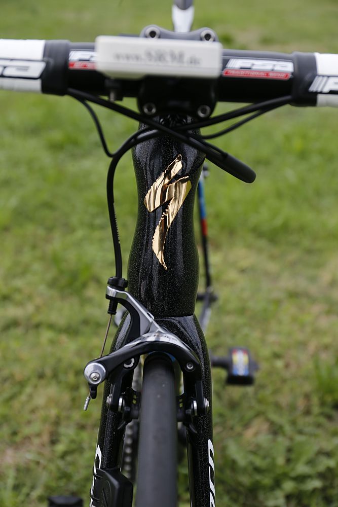 Peter Sagan's world champion's S-Works Tarmac