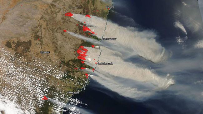 Asap mengepul hingga di kepulauan Tasmania.