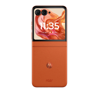 Motorola Razr 2024