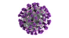 A coronavirus particle.