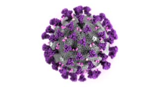 A coronavirus particle.
