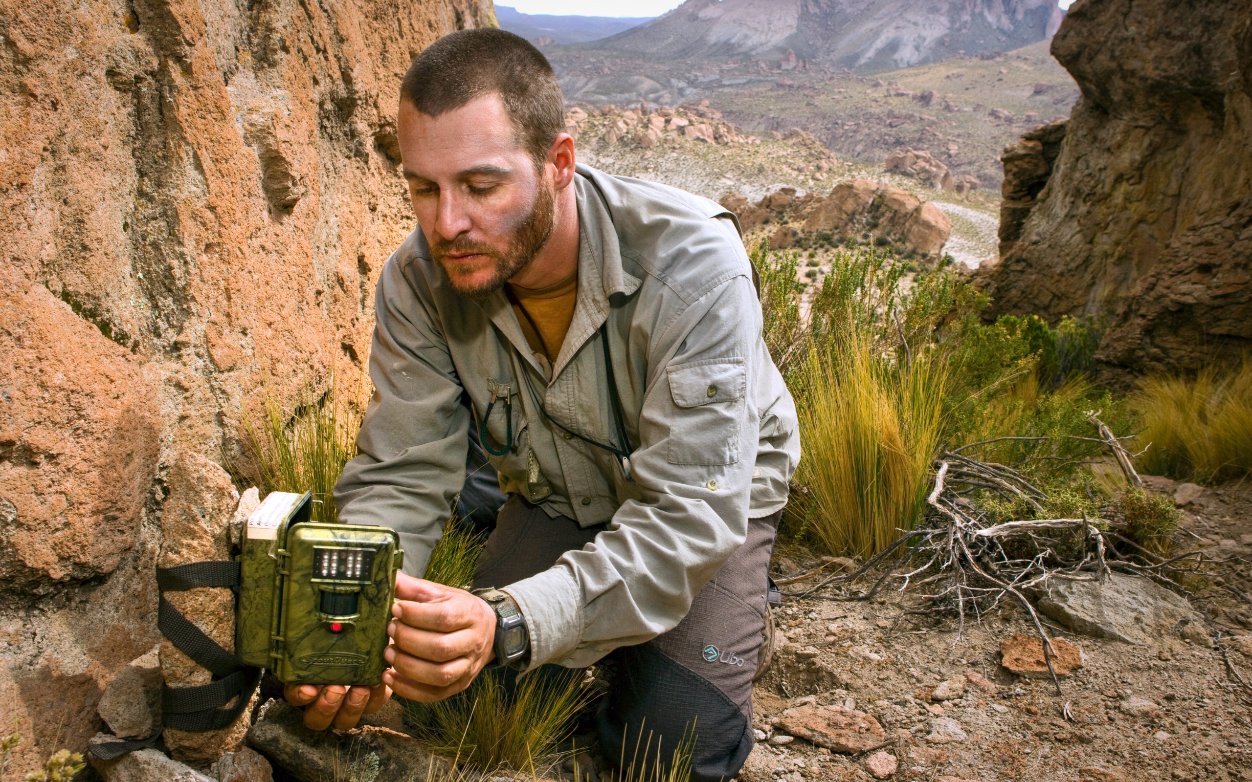 Andean Mountain Cat (Leopardus jacobita) biologist, Juan Reppucci, checking camera trap, Abra Granada, Andes, northwestern Argentina