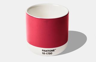 a mug in pantone color of the year