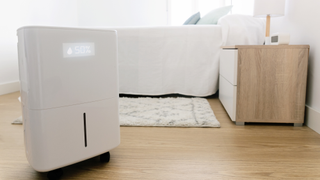 dehumidifier in a bedroom