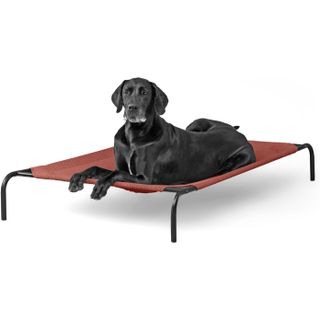 Coolaroo Steel-Framed Elevated Dog Bed