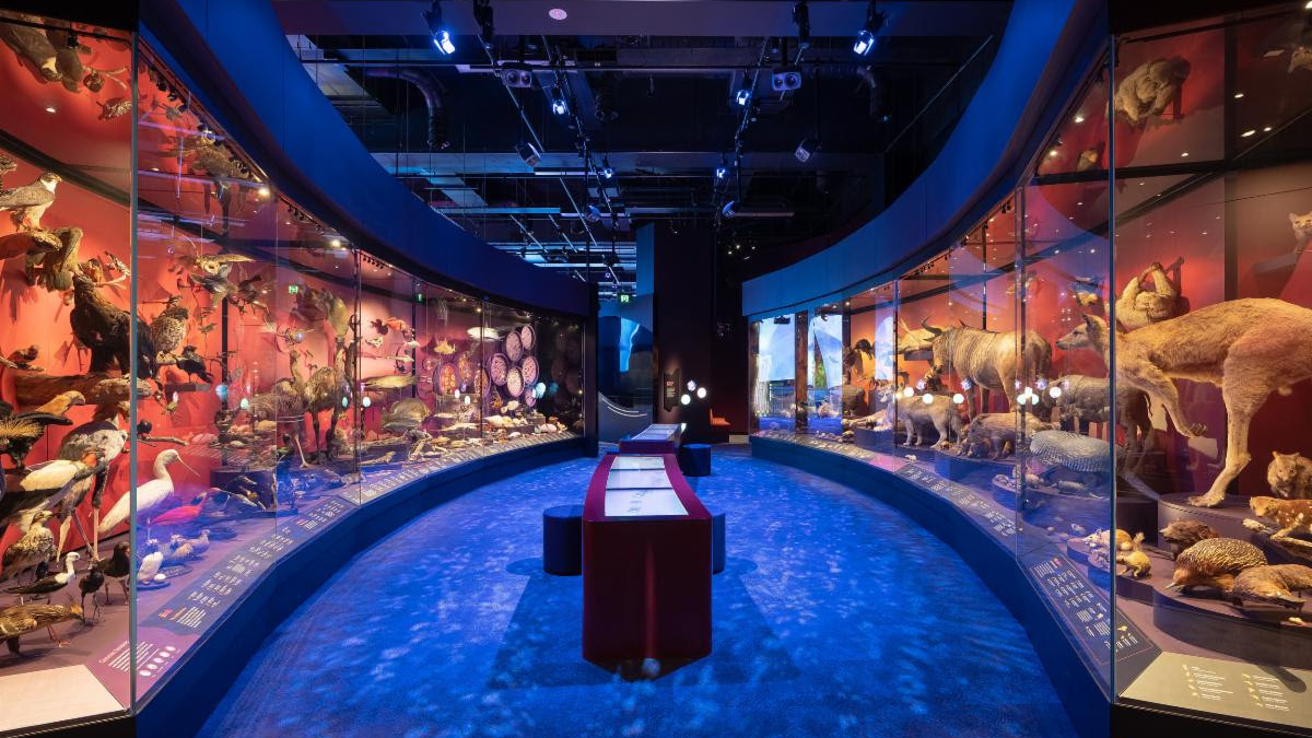 Melbourne Museum's immersive exhibit. 