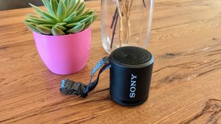 Sony SRS-XB13 Bluetooth-Lautsprecher auf einem Tisch neben einer Pflanze