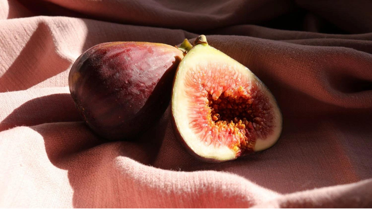 fig