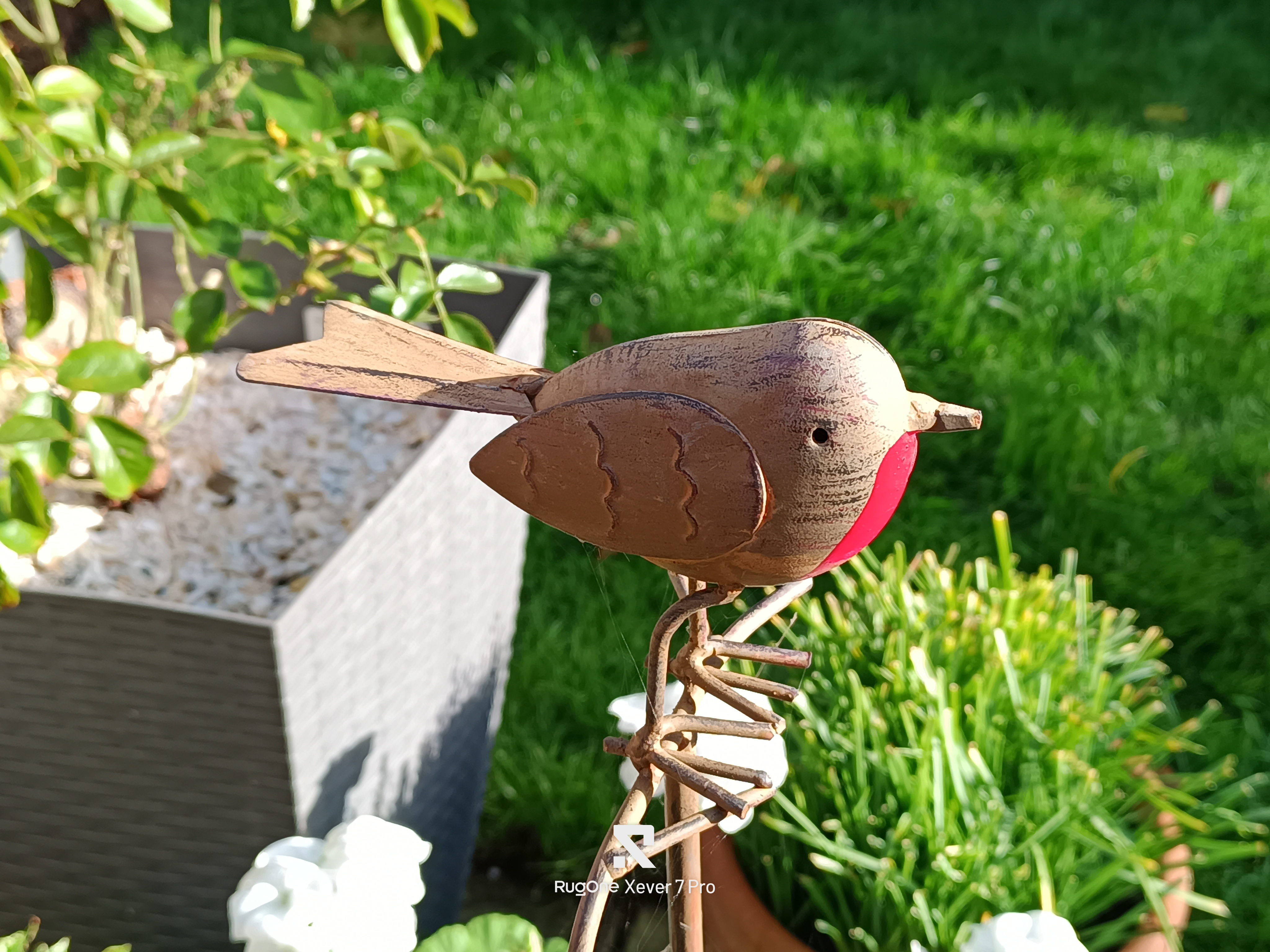 RugOne Xever 7 Pro Photo Examples