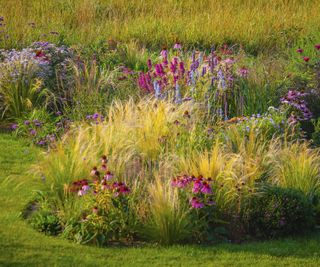 Ornamental garden, with grasses and various perennial flowers in mixed borders and flower beds. Designed in such a way to provide natural colour patterns, and a sense of naturalistic landscape