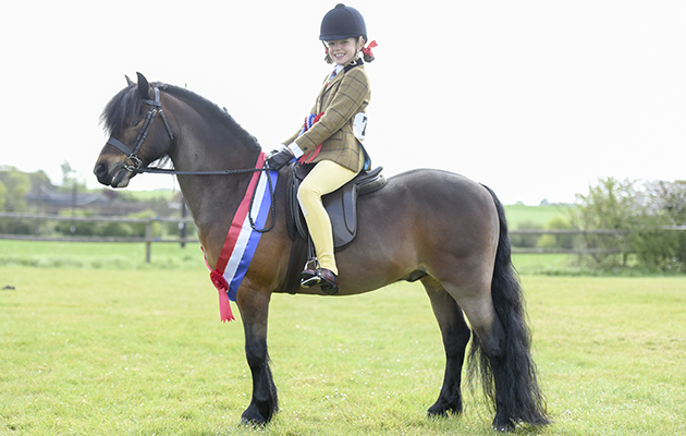BSPS Area 15 show 22.04.2017