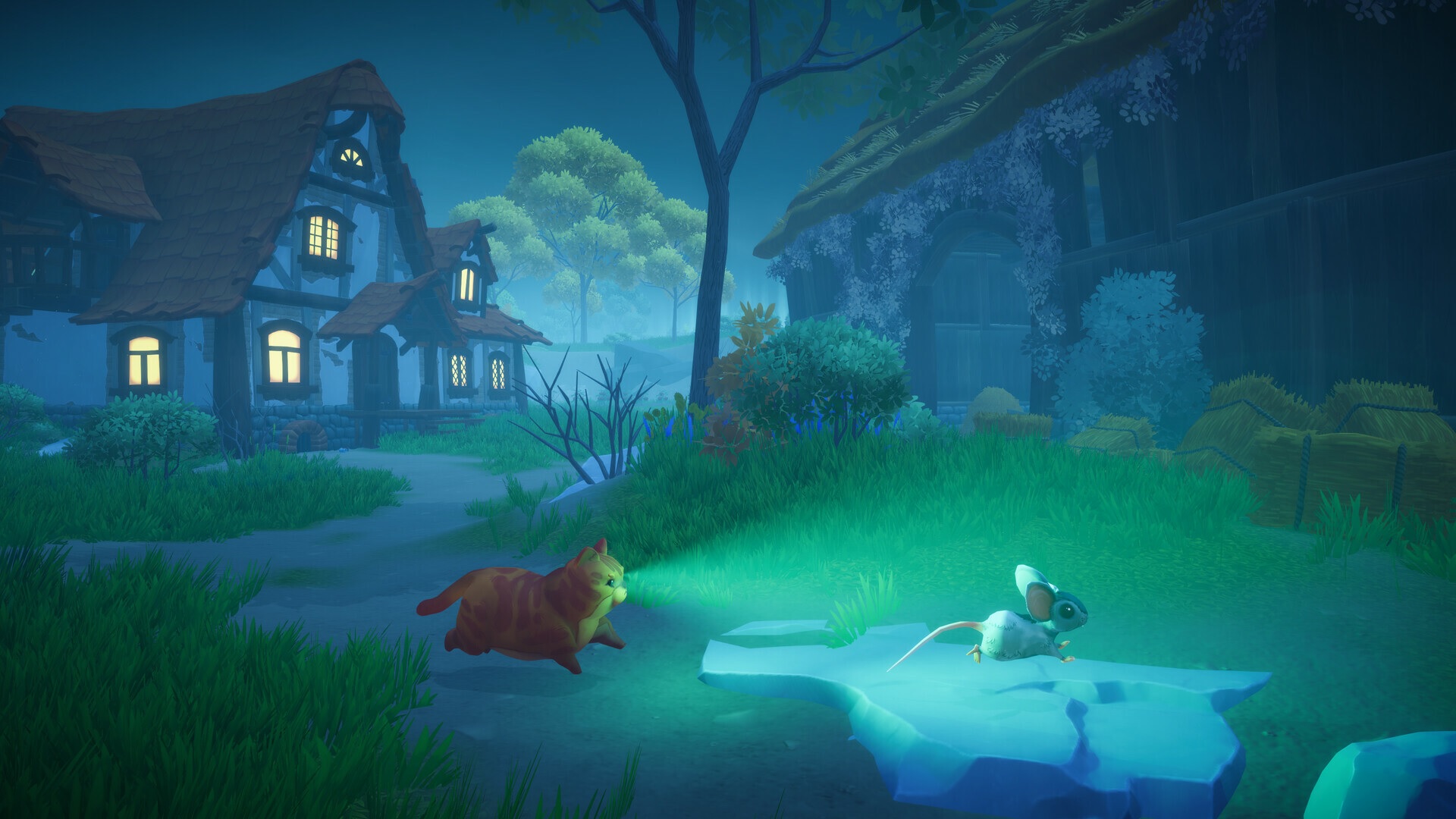Everdream Valley - at  night an orange cat runs behind a mouse with its eyes shining.