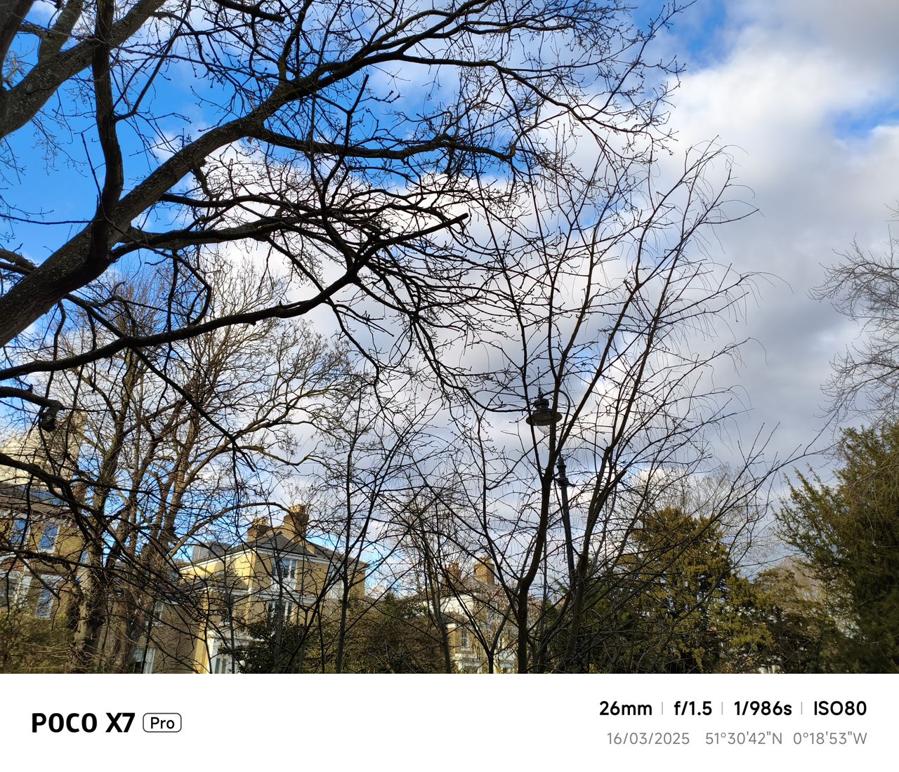A photo captured on the Poco X7 Pro