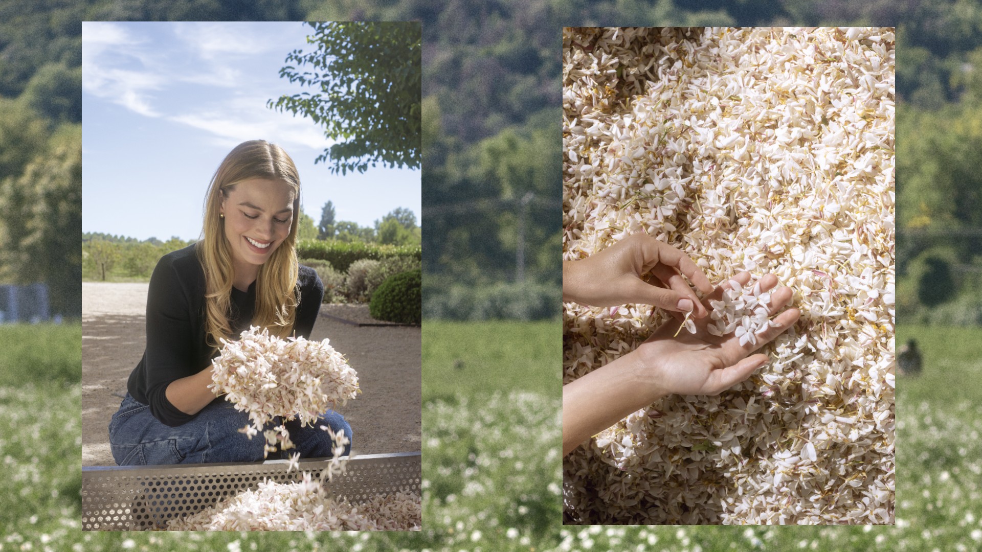 Chanel N&deg;5 Grasse jasmine collage