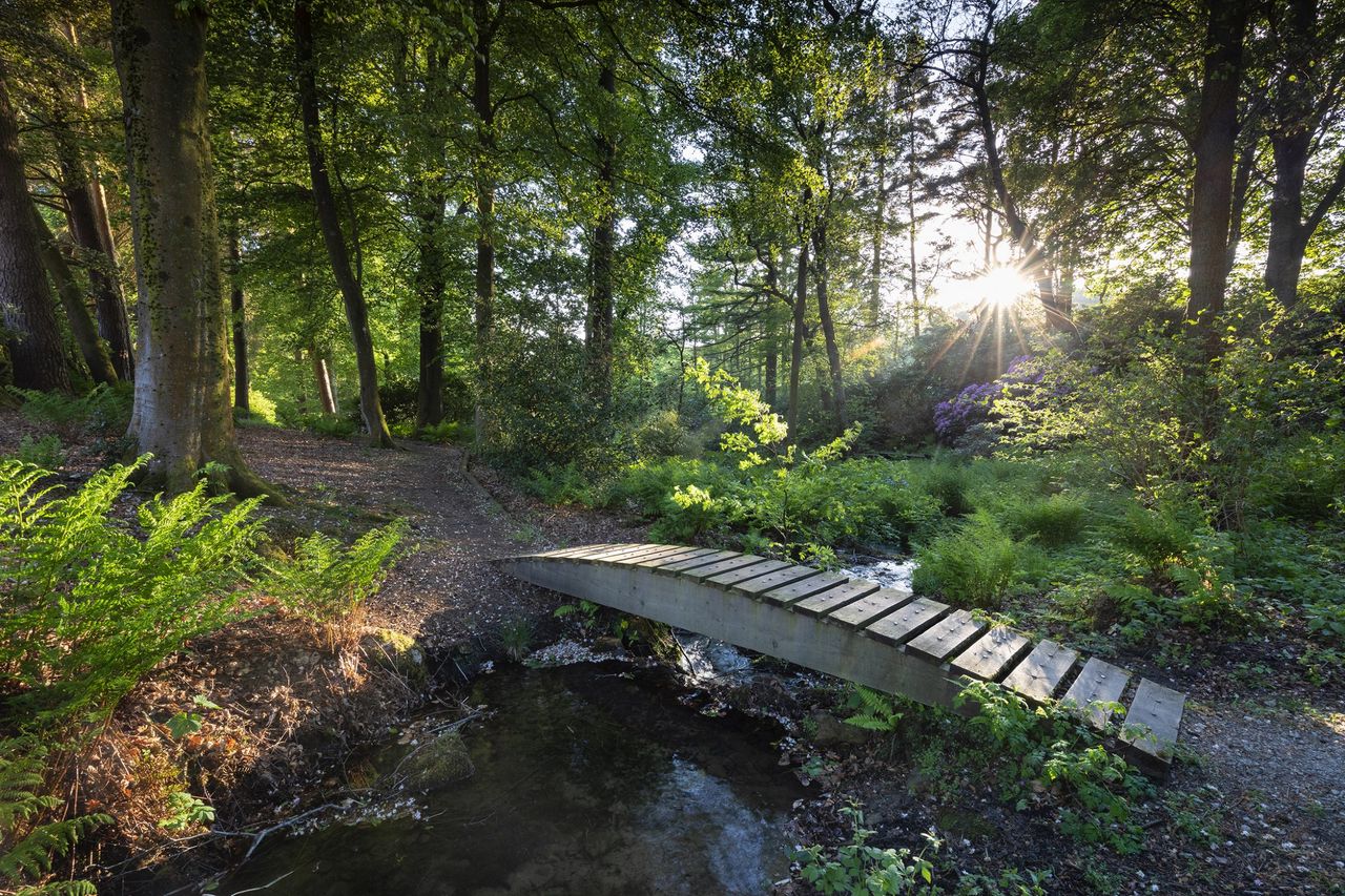 Bridge over Tarn Ghyll Beck in Tarn Ghyll Wood at Parcevall Hall Gardens, Yorkshire.