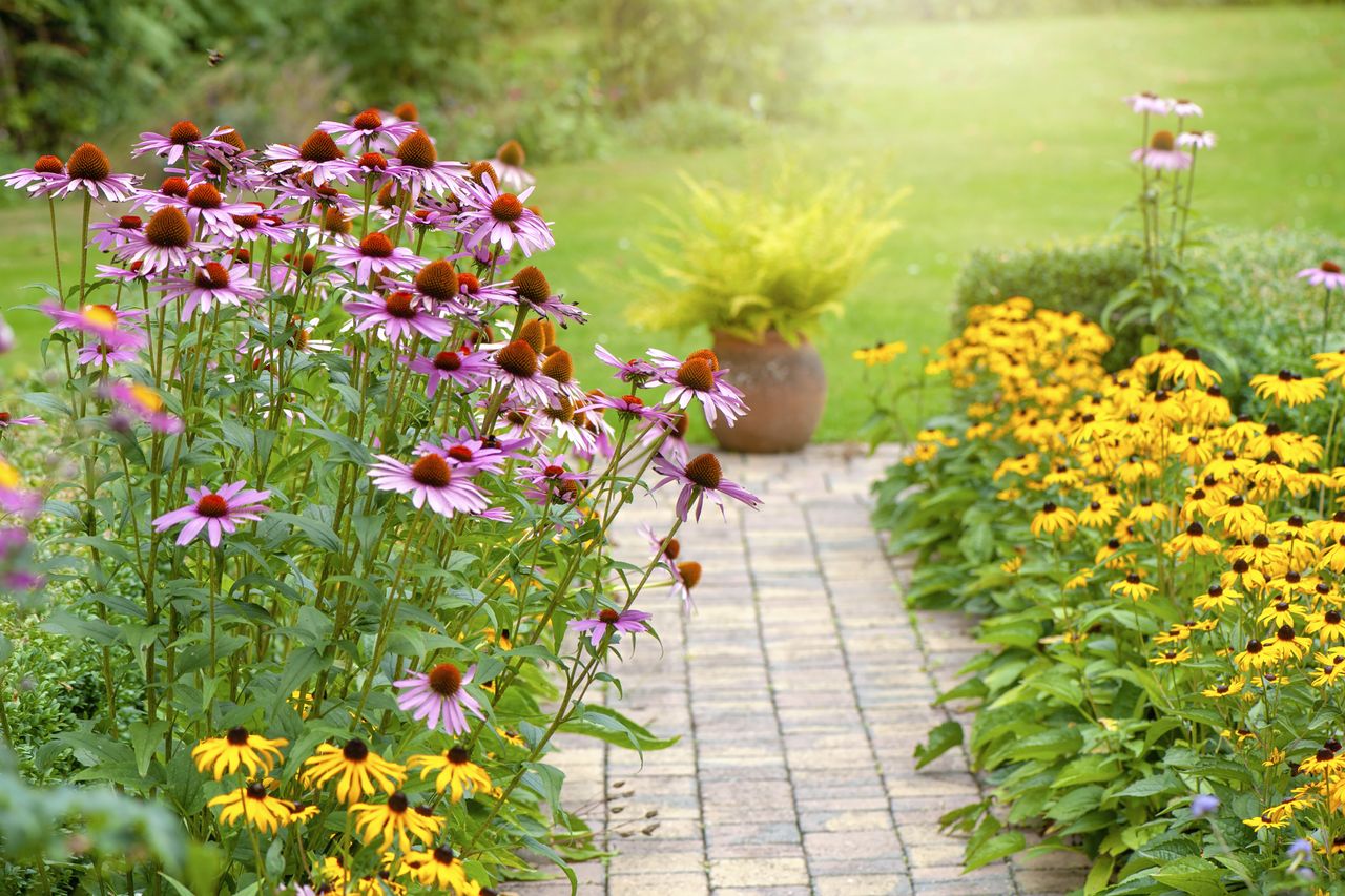 A colorful garden