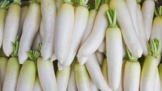 A display of white daikon radish roots