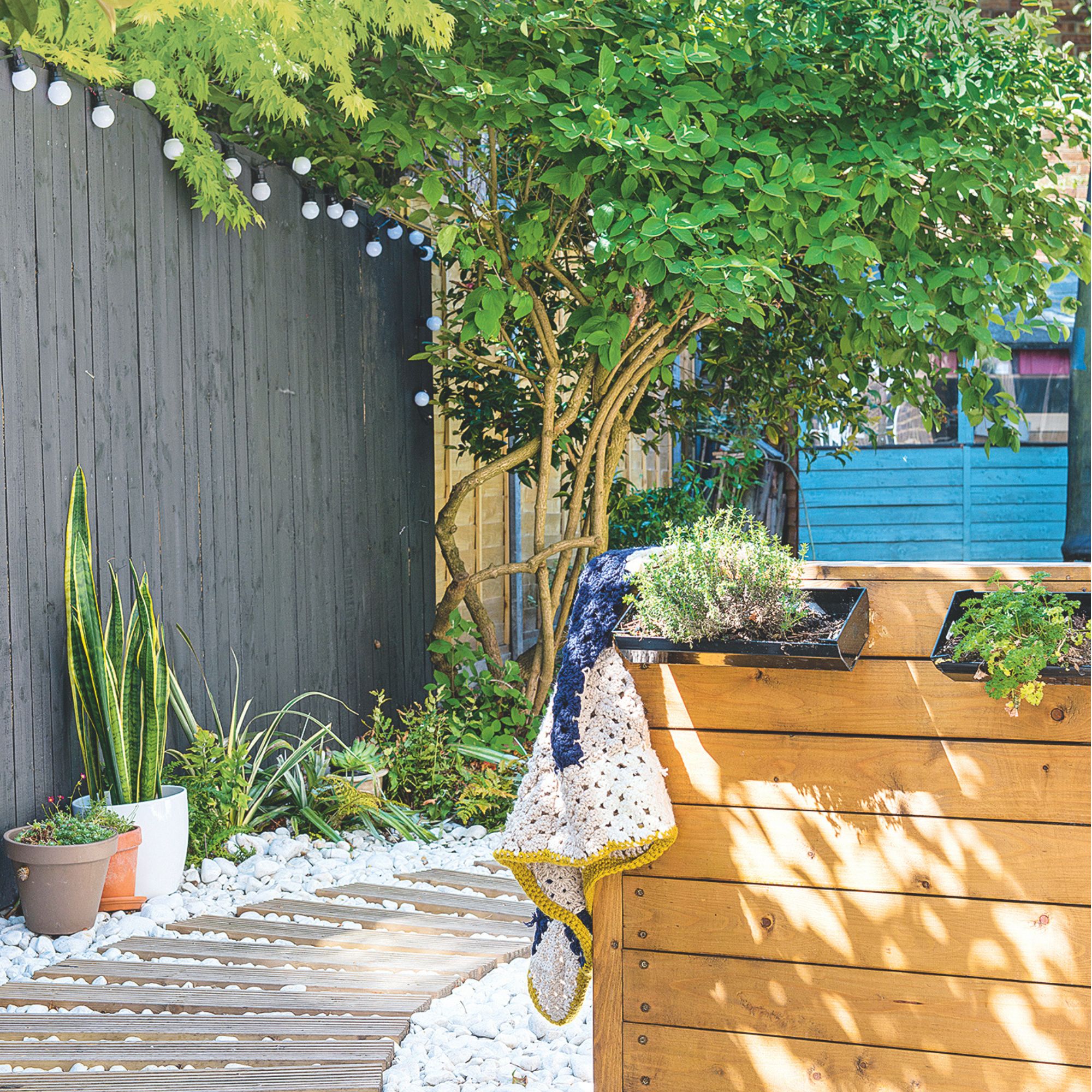 Small potted plants, including snake plant, growing alongside a painted black wooden fence and a white gravel garden path with wooden stepping stones