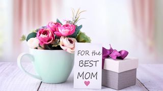 A pot of flowers and Mother's Day gift box with a sign that reads "for the best mom"