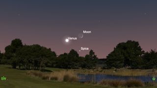 See the crescent moon form a triangle with Venus and the bright star Spica in the evening sky on Sept. 9, 2021.