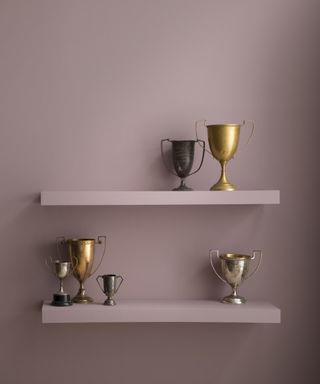 purple wall with two gallery shelves with collection of trophies