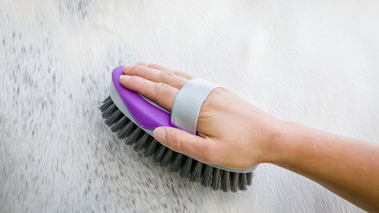 KBF99 anti-bacterial body brush
