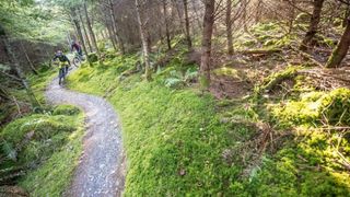 Mountain bike riders on one of Coed y Brenin's MTB trails