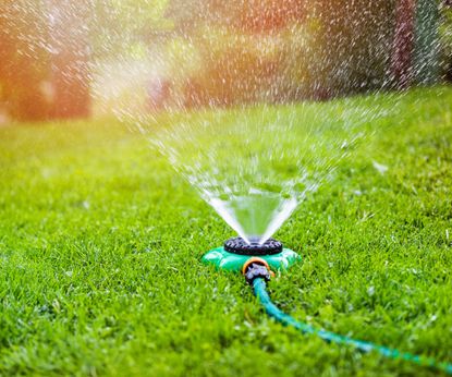 How long should you water your lawn for? Experts advise | Homes & Gardens