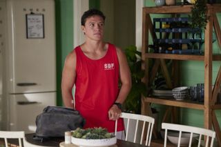 Home and Away spoilers, Perri Hayes