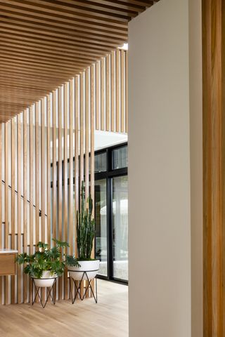 modern hallway design with wood slats and indoor plants in raised pots