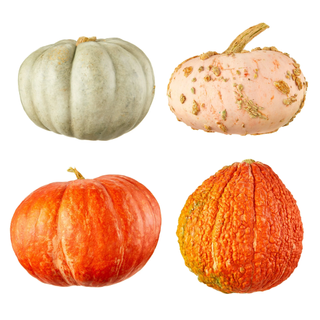 4 Colorful heirloom pumpkins