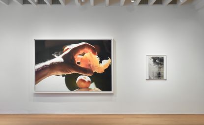 Wolfgang Tillmans, Sicily Morning, 2018 (left), Barnaby, 1994/2008 (right). 