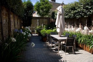 shade garden ideas: courtyard