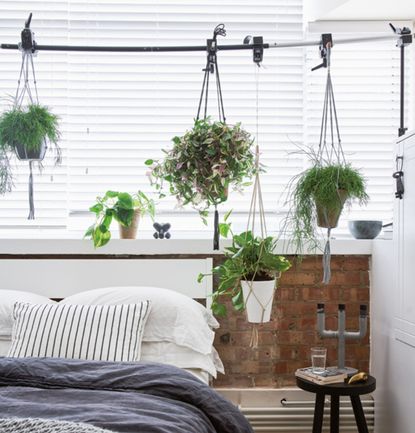 A bedroom with a houseplants hanging from a bar above the bed