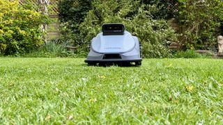 TerraMow V1000 on the lawn
