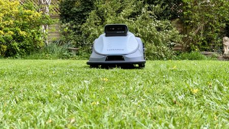 TerraMow V1000 on the lawn
