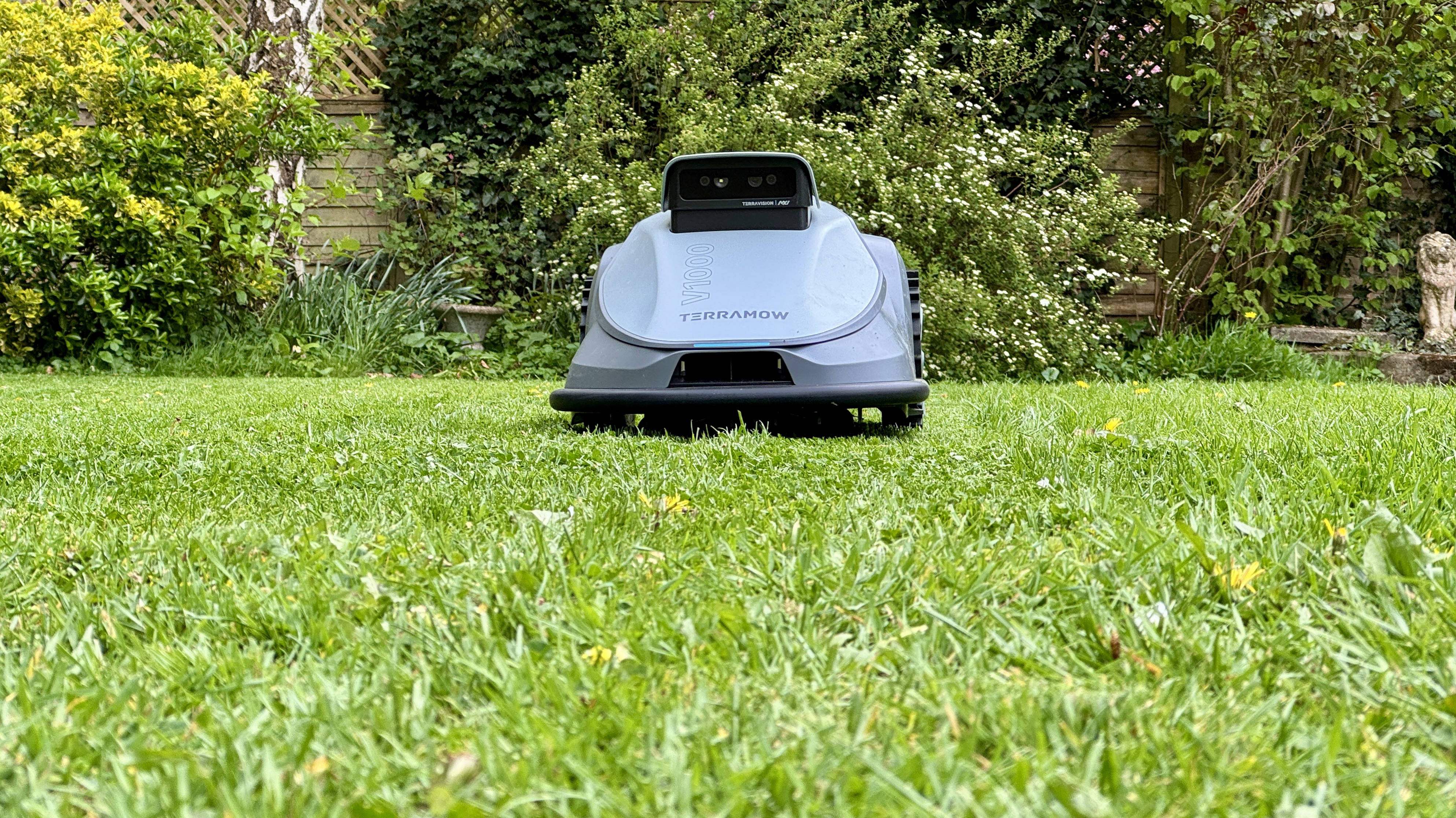 TerraMow V1000 on the lawn