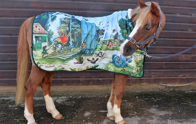 Thelwell rug