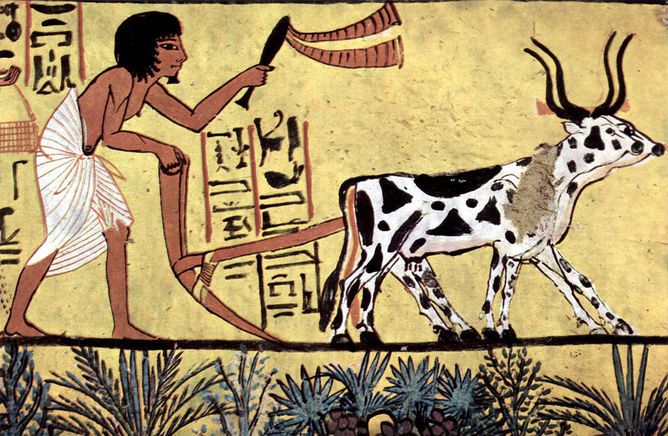 hieroglyphs, farming, agriculture