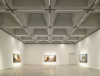 new paul kasmin gallery interior