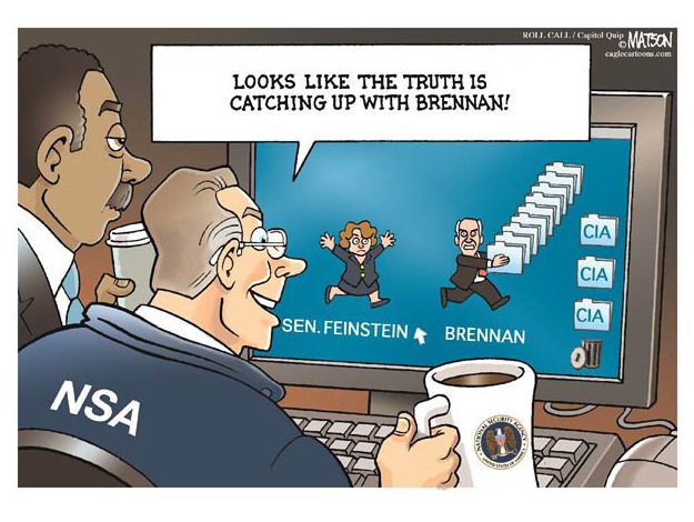 Political cartoon NSA Congress Feinstein