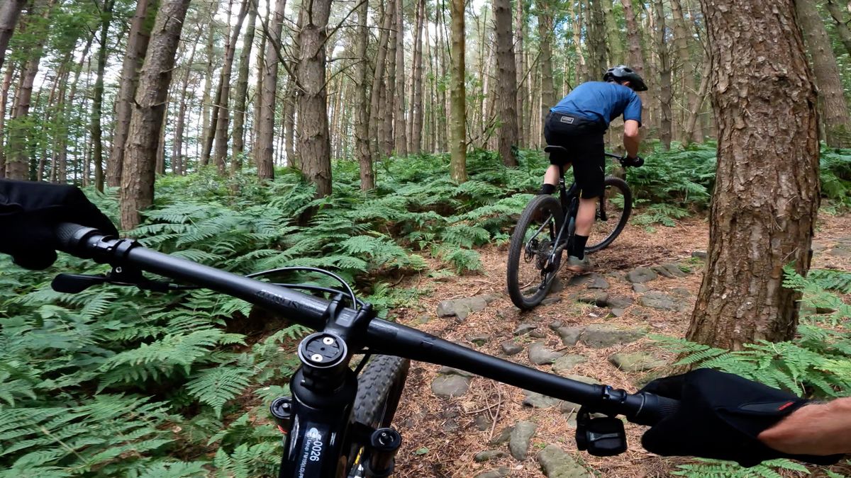 POV shot of a rider climbing singletrack