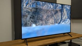 Panasonic W90A 65-inch TV slight angle showing big cat in trees on screen