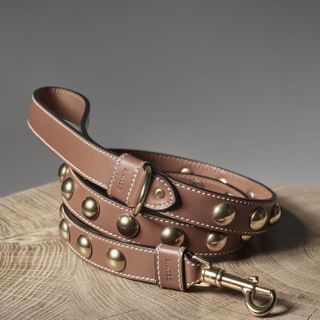 Leather dog leash by Celine