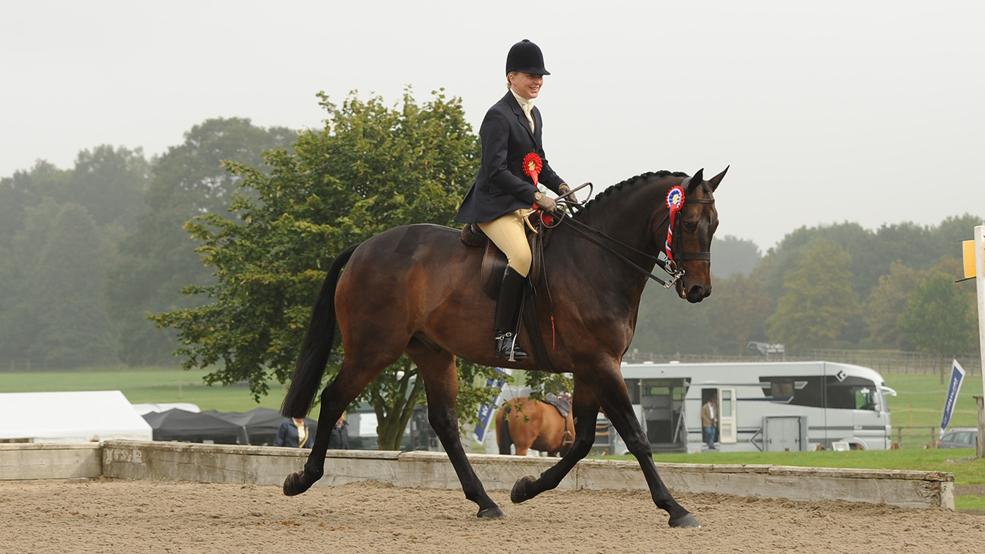 Lucy Killingbeck riding Ballyboe Integrity at the National Hunter Show.