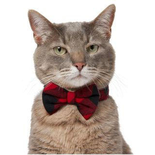 Frisco Red Buffalo Plaid Dog & Cat Bow Tie