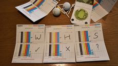 scorecards, pencils, tees and golf balls laid out on the table 