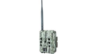 Bushnell CelluCORE 30, one of the best cellular trail cameras