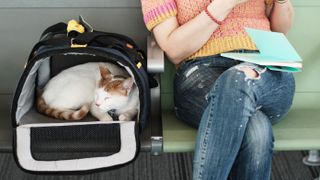 Cat in carrier at airport