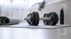 Two dumbbells lying on a yoga mat in a living room next to sofa, representing a dumbbell workout for beginners from home